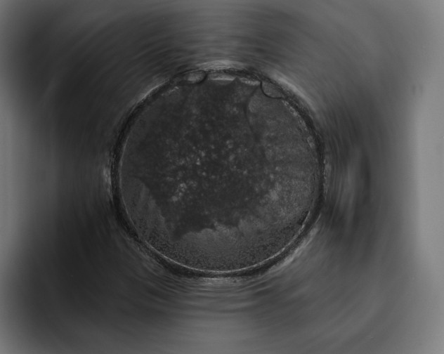 X0000093131305200710101051