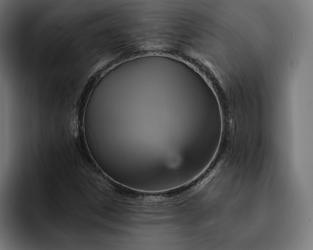 X0000093131306200710101051