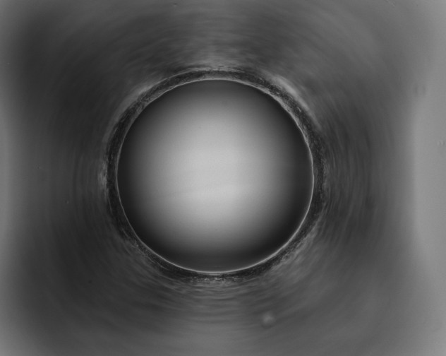 X0000093131307200710101051