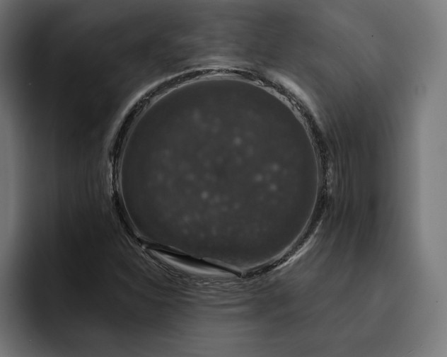 X0000093131310200710101051