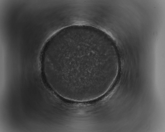 X0000093131311200710101051