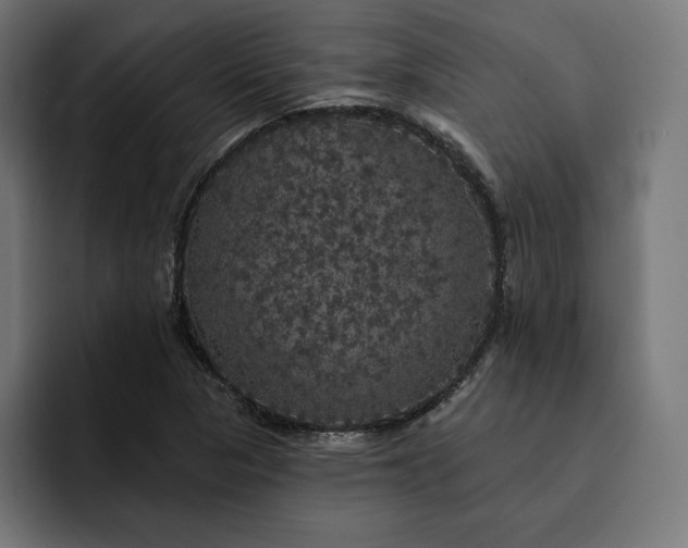 X0000093131313200710101051