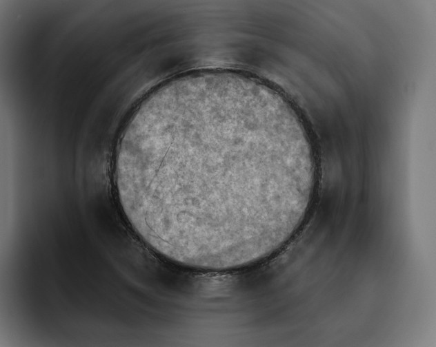 X0000093131314200710101051