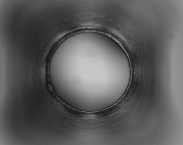 X0000093131315200710101051