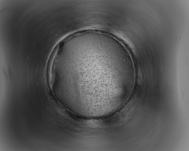 X0000093131316200710101051