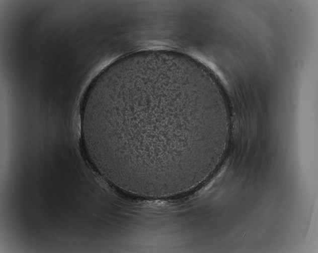 X0000093131317200710101052