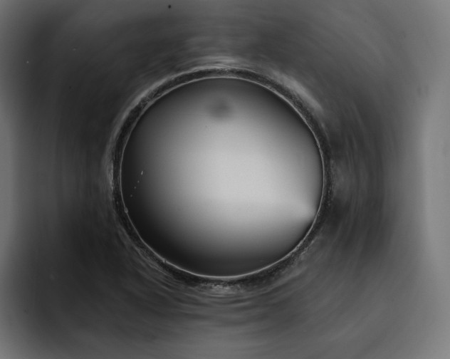 X0000093131318200710101052