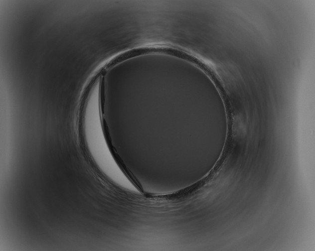 X0000093131319200710101052