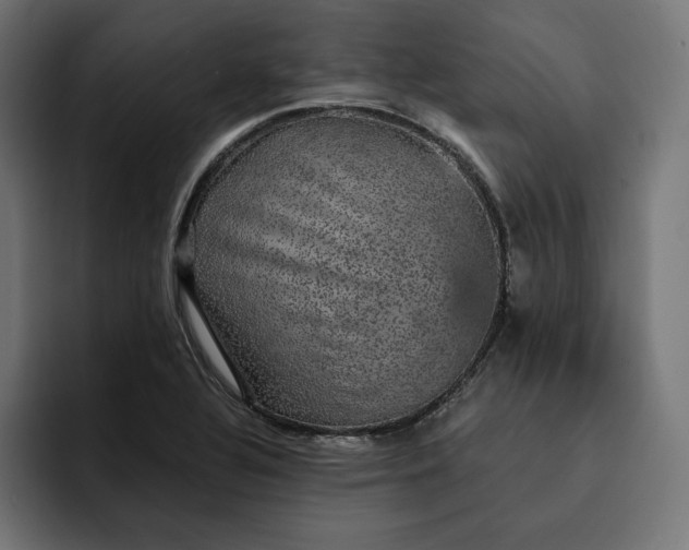 X0000093131320200710101052