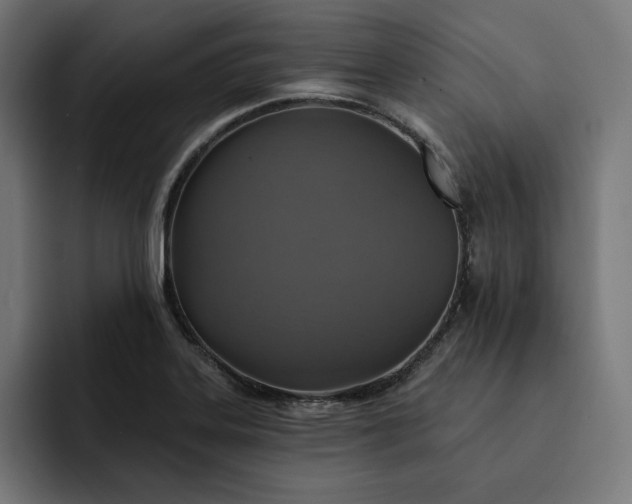 X0000093131323200710101052