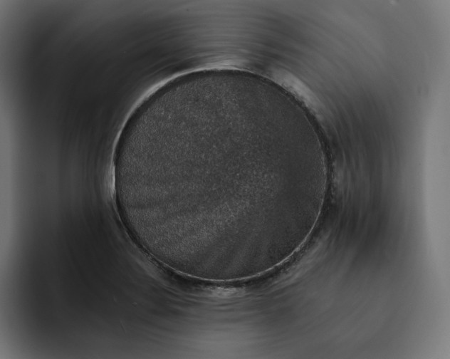 X0000093131324200710101052