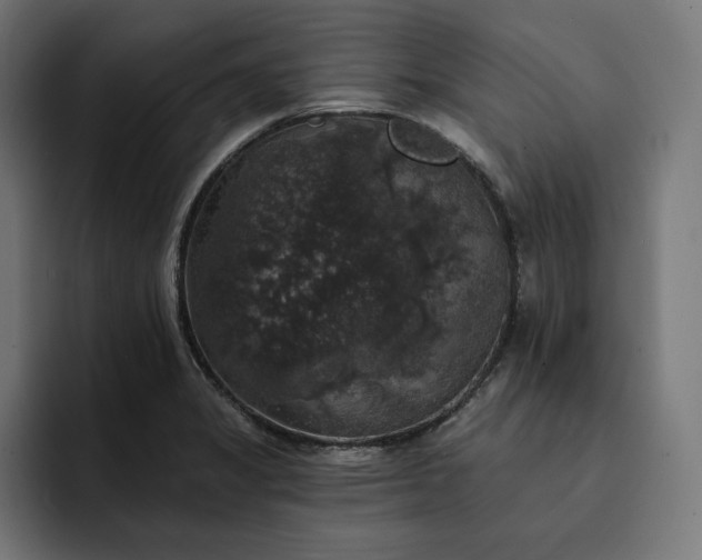 X0000093131325200710101052