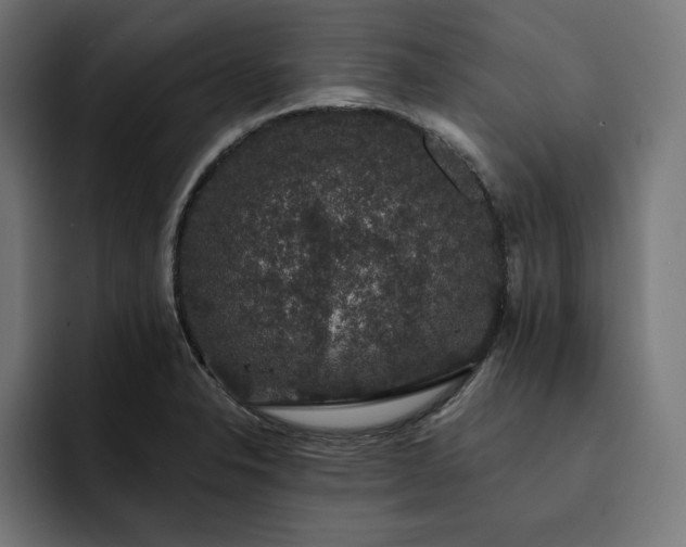 X0000093131326200710101052