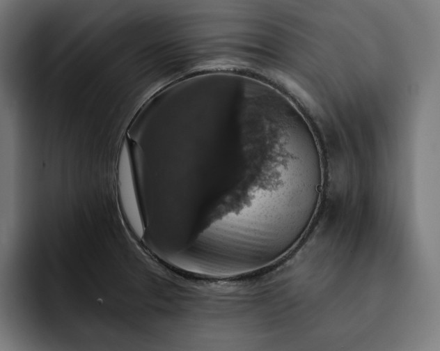 X0000093131329200710101052