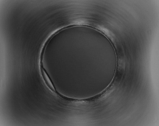 X0000093131331200710101052