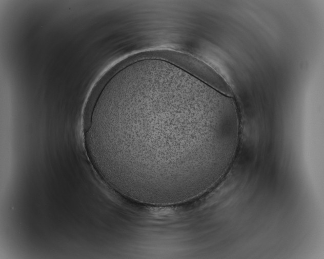 X0000093131332200710101052