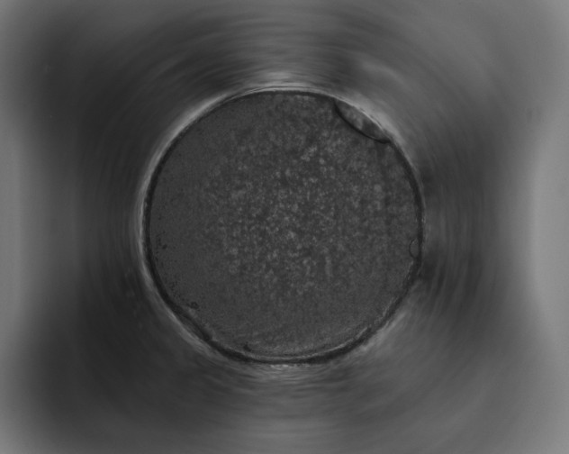 X0000093131333200710101052