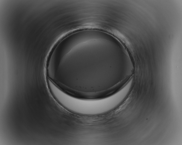 X0000093131334200710101052