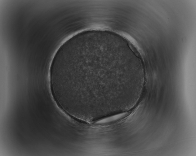 X0000093131335200710101052