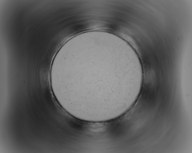 X0000093131338200710101052