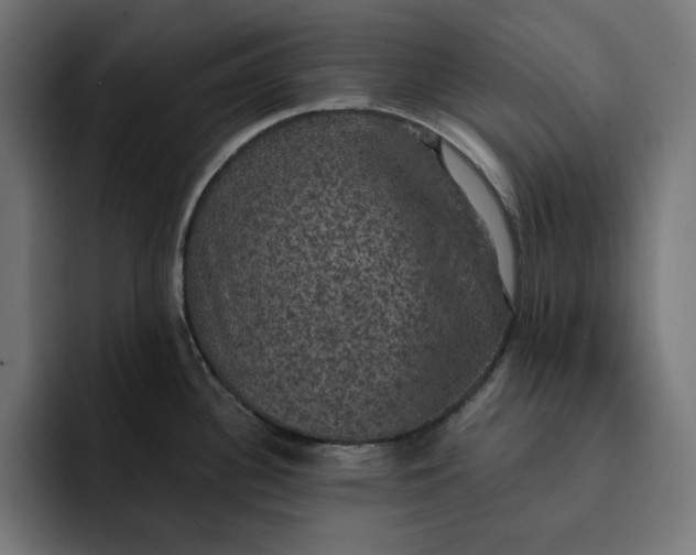 X0000093131340200710101052