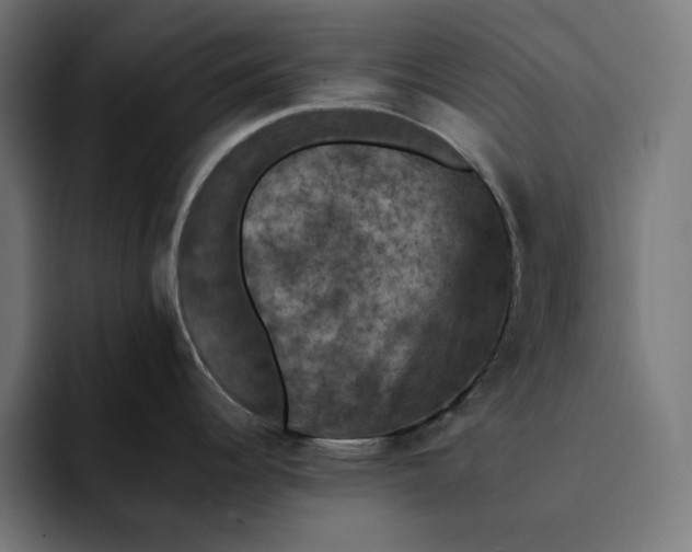 X0000093131344200710101052