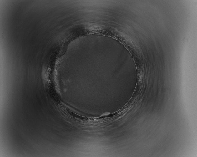 X0000093131346200710101051