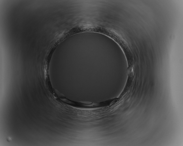 X0000093131348200710101051