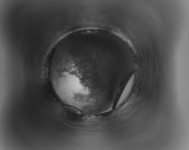 X0000093131352200710101051