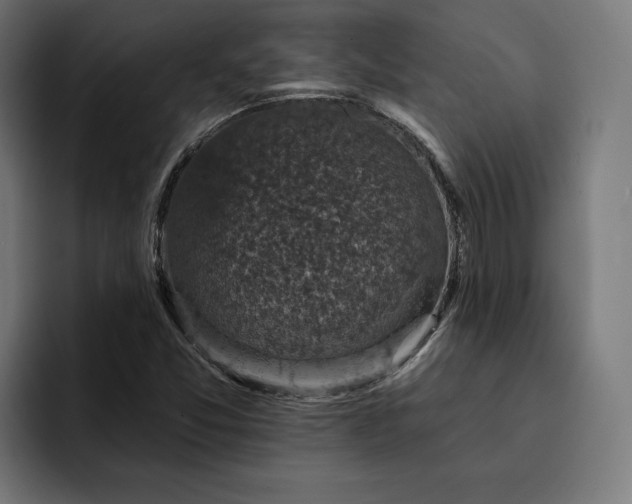 X0000093131357200710101051