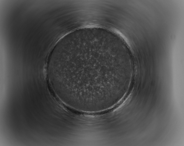 X0000093131361200710101051