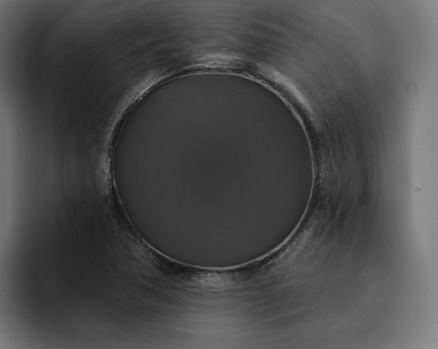 X0000093131362200710101051