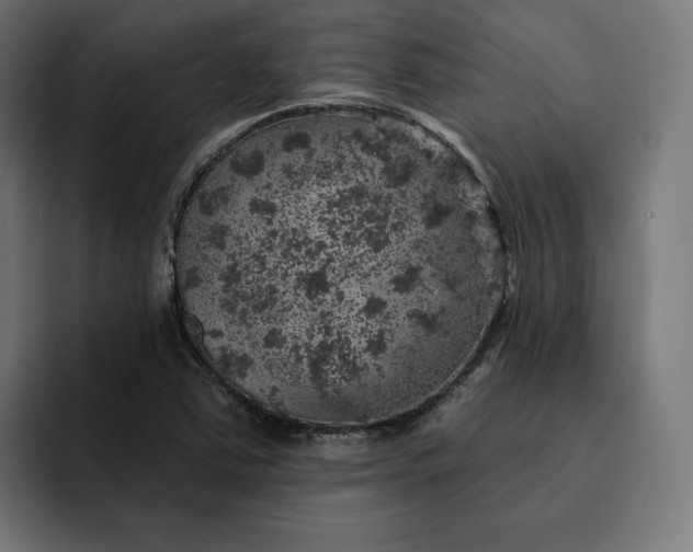 X0000093131363200710101051