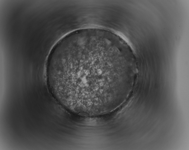 X0000093131364200710101051