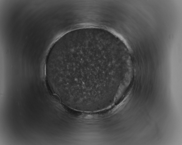 X0000093131365200710101051