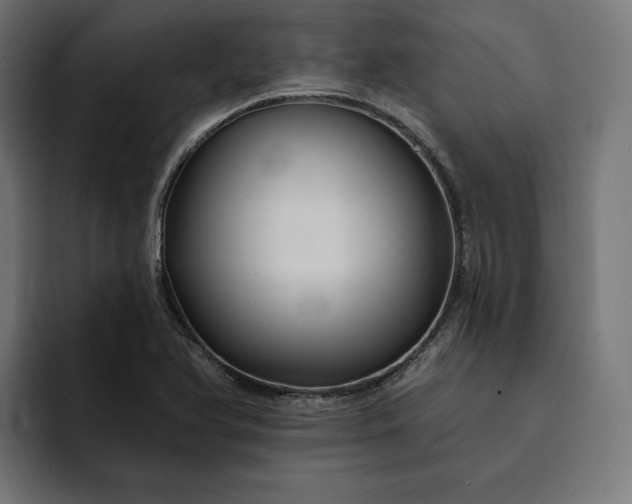 X0000093131366200710101051