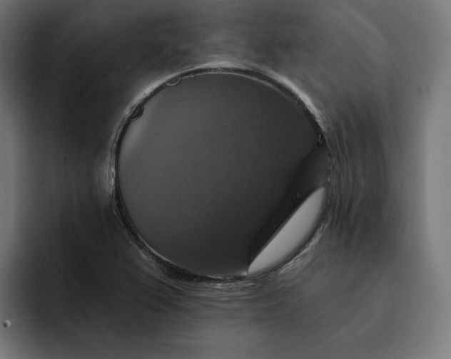 X0000093131367200710101051