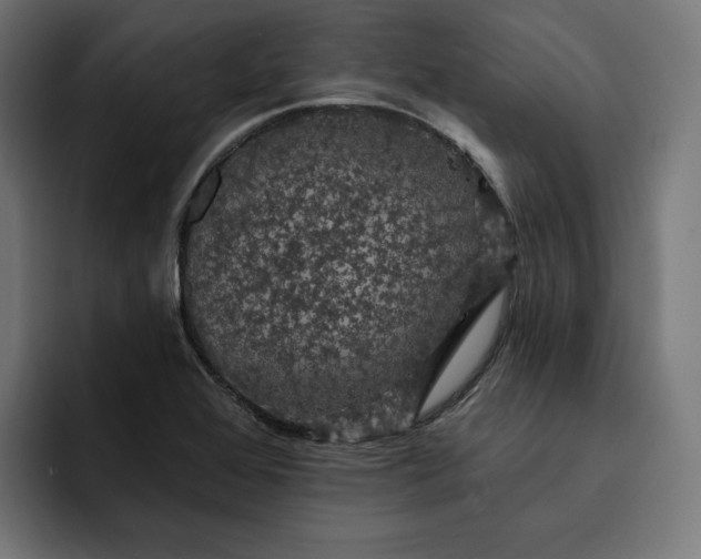 X0000093131368200710101051