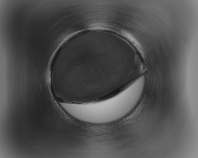 X0000093131376200710101051