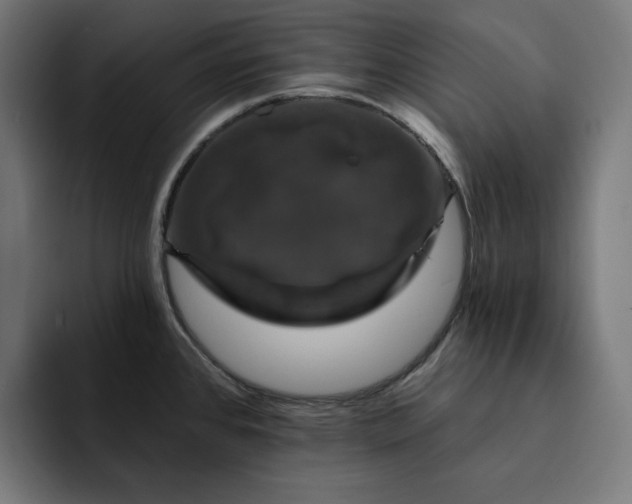 X0000093131384200710101051