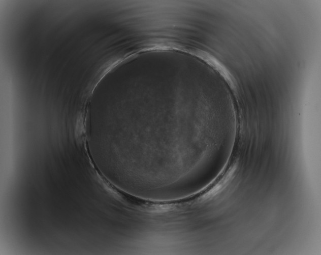 X0000093131385200710101051