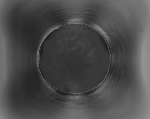 X0000093131386200710101051