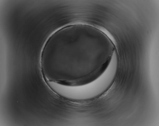 X0000093131388200710101051