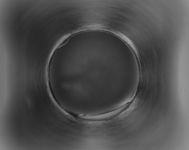 X0000093131389200710101051