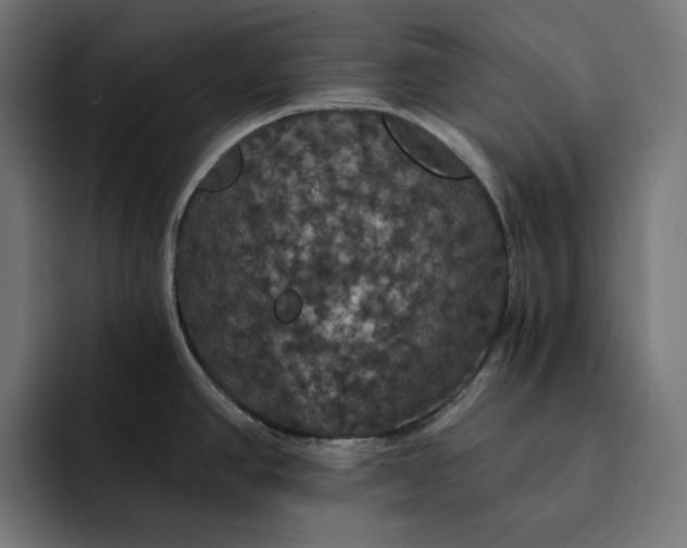 X0000093131390200710101051