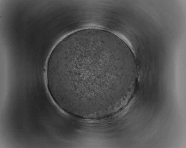 X0000093131391200710101051