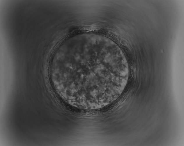 X0000093131393200710101050