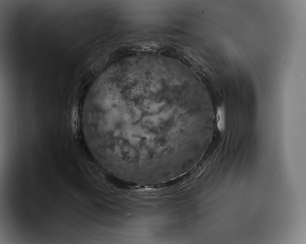 X0000093131395200710101050