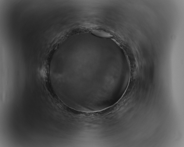 X0000093131397200710101050