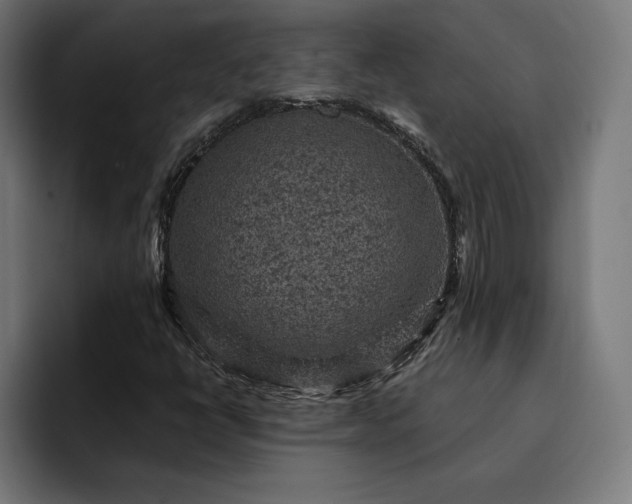 X0000093131398200710101050